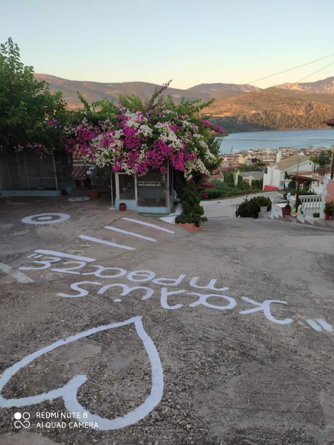 Elenh House Daire Argostolion Dış mekan fotoğraf