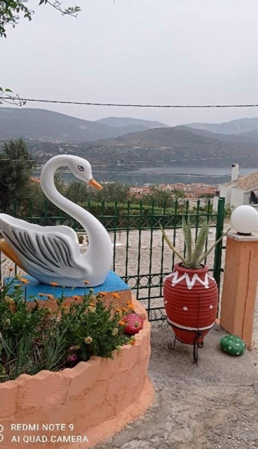 Elenh House Daire Argostolion Dış mekan fotoğraf