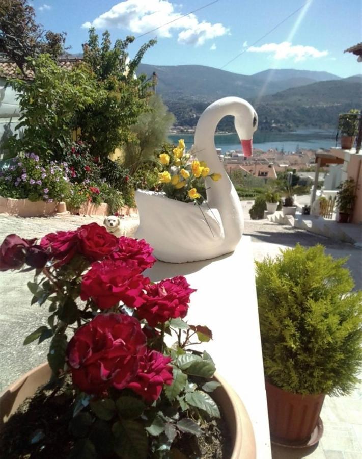 Elenh House Daire Argostolion Dış mekan fotoğraf