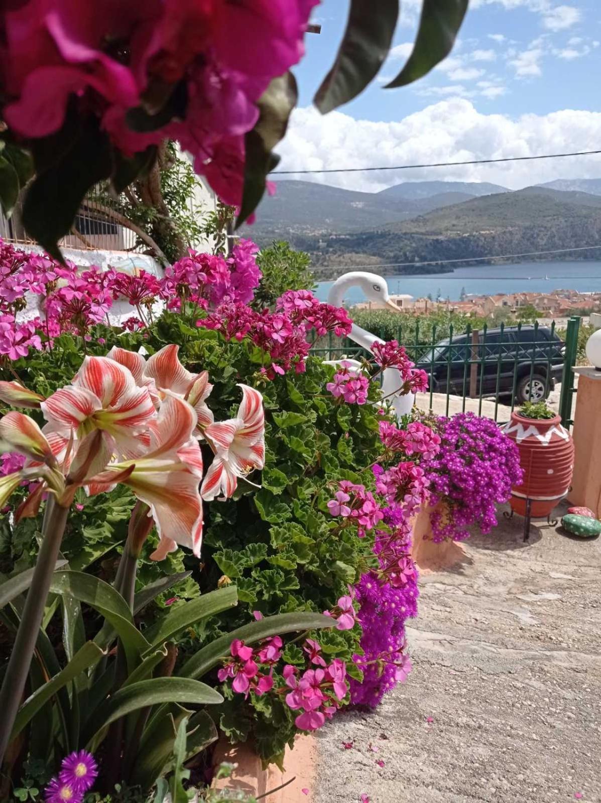 Elenh House Daire Argostolion Dış mekan fotoğraf