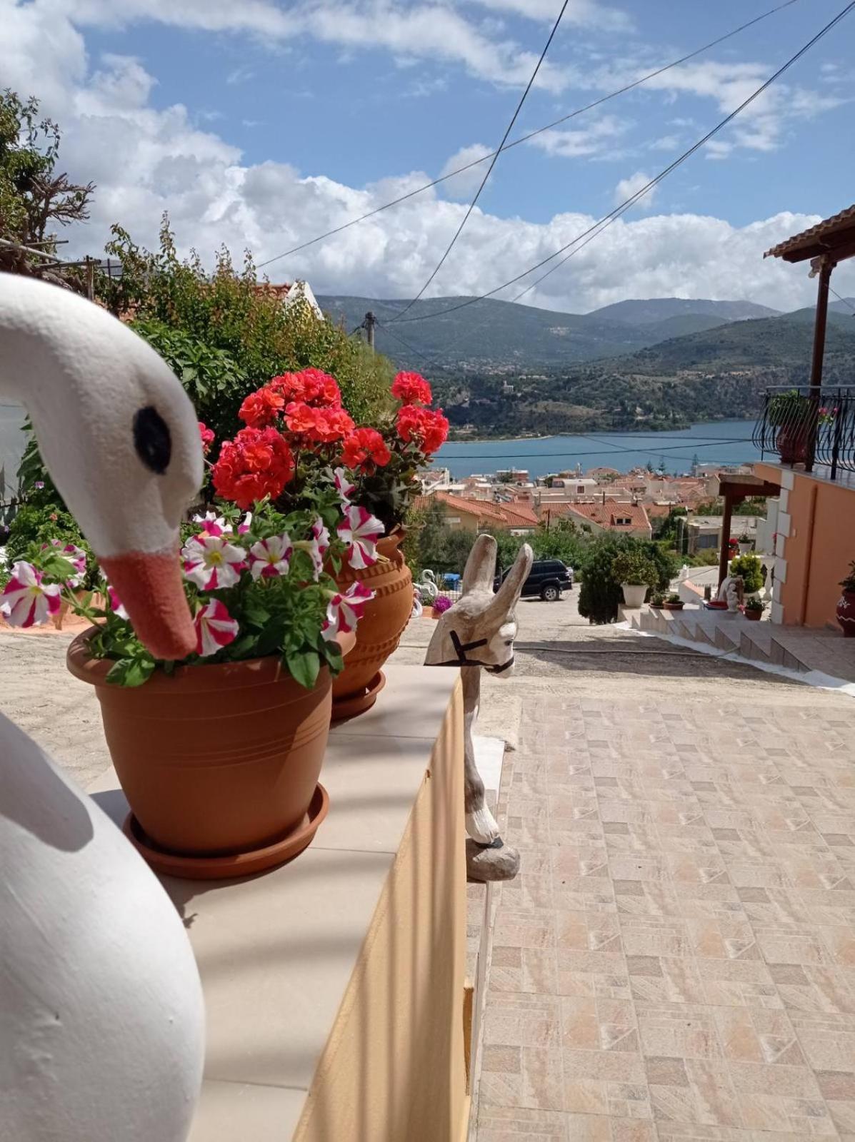 Elenh House Daire Argostolion Dış mekan fotoğraf