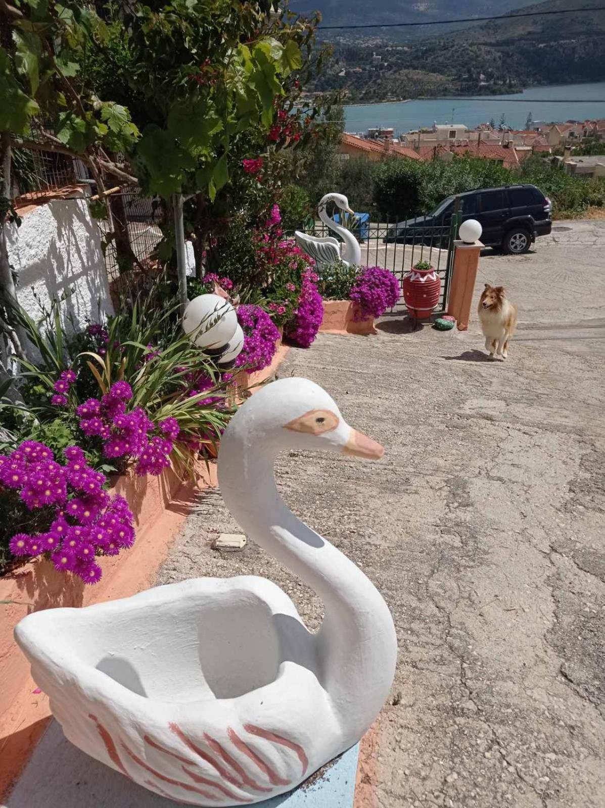 Elenh House Daire Argostolion Dış mekan fotoğraf