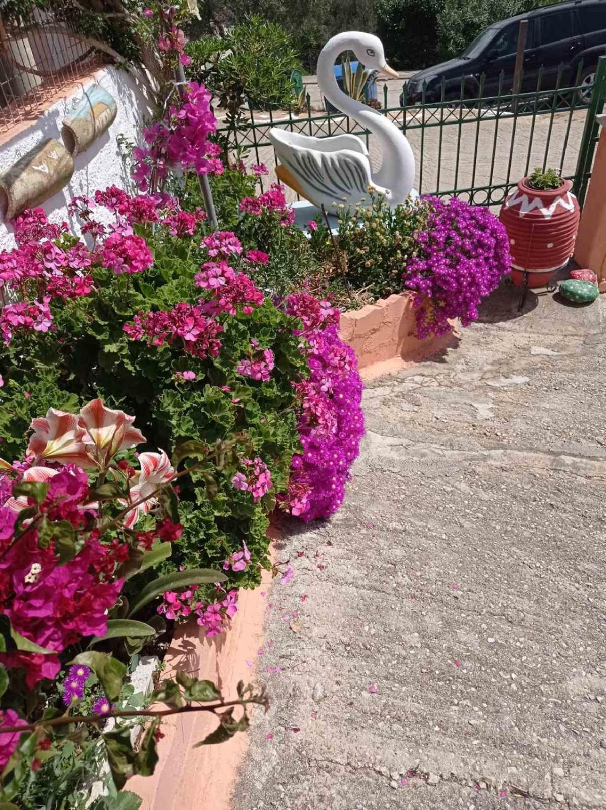 Elenh House Daire Argostolion Dış mekan fotoğraf